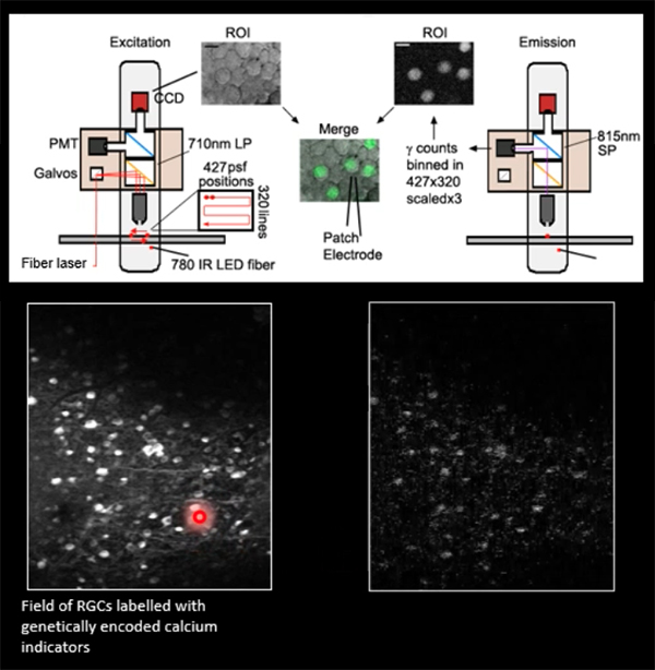 1616135512642860.jpg 920-femto-mcGill.jpg