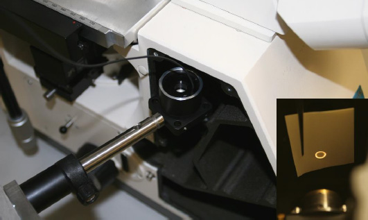 用于寬視場、共焦、雙光子和檢測顯微鏡的可調焦距鏡頭